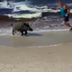 Image via YouTube